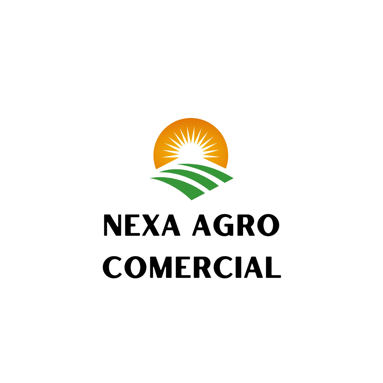 NEXA AGRO COMERCIAL